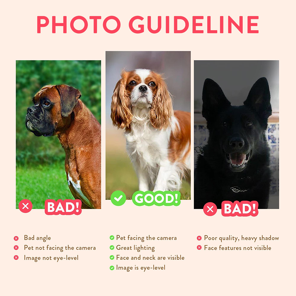 Personalisierte Haustier-Portr – Photographic Memory Bewertung und Preis