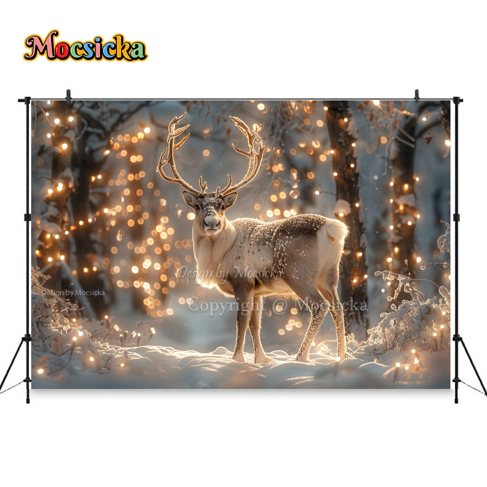 Winter Schnees zenen Fotografi – Photography Natural Lighting Bewertung und Preis