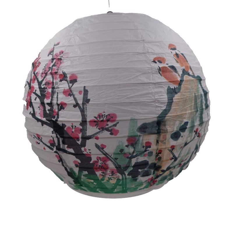 30cm Bedruckte Papier-Laternen – Photography Year Bewertung und Preis